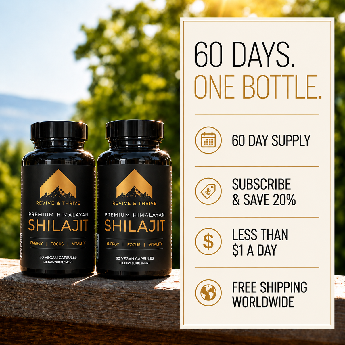 Premium Himalayan Shilajit | 60 Capsules - 500mg