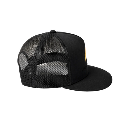Black / Gold