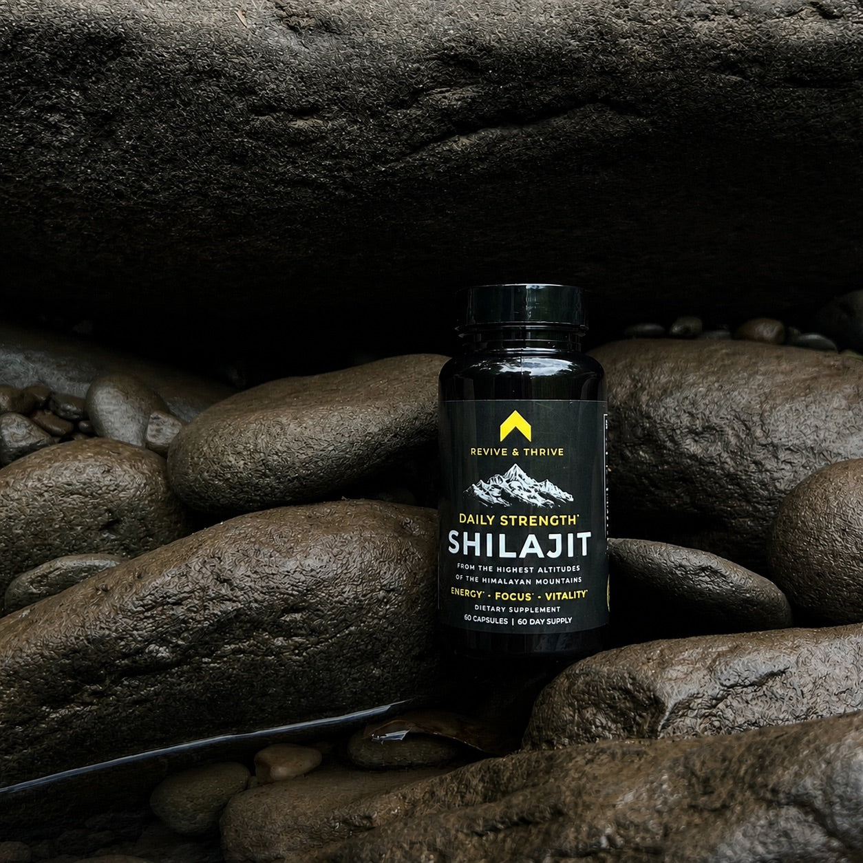 Daily Strength | 60 PrimaVie® Shilajit Capsules - 250mg