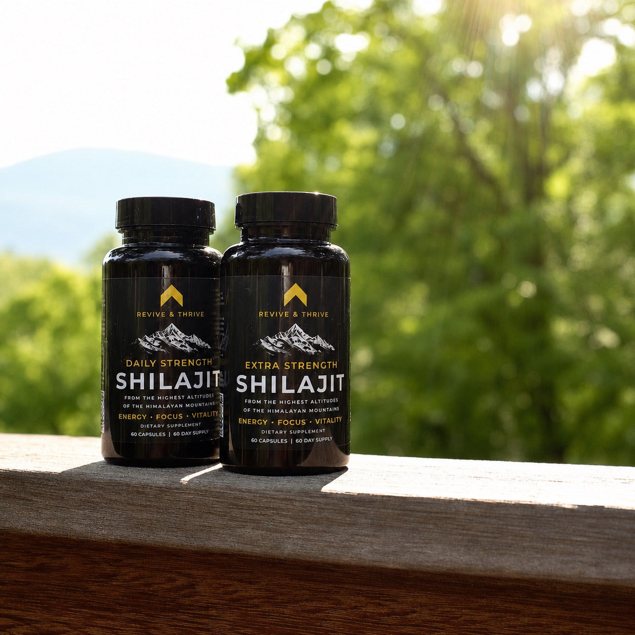 Extra Strength | 60 PrimaVie® Shilajit Capsules - 500mg